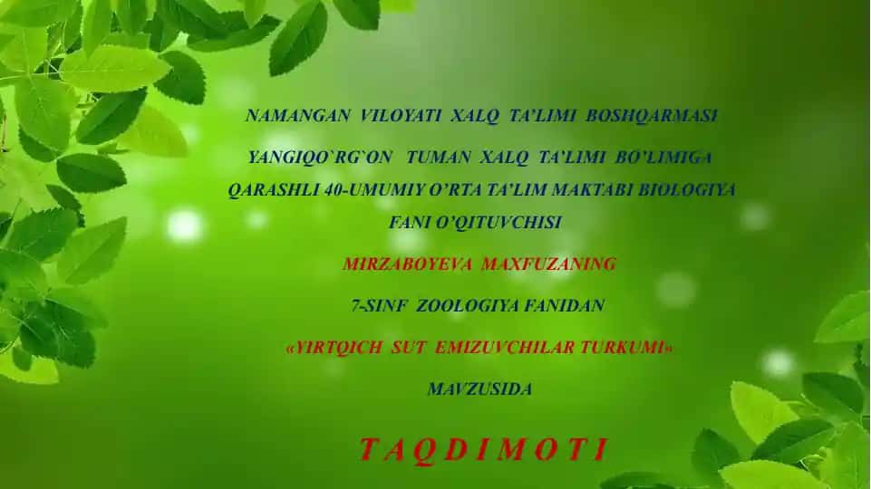 Yirtqich sut emizuvchilar turkumi