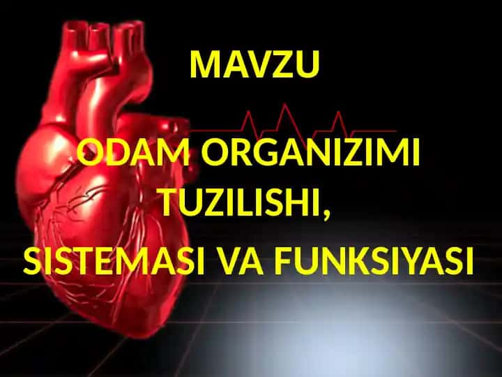 ODAM ORGANIZIMI TUZILISHI, SISTEMASI VA FUNKSIYASI