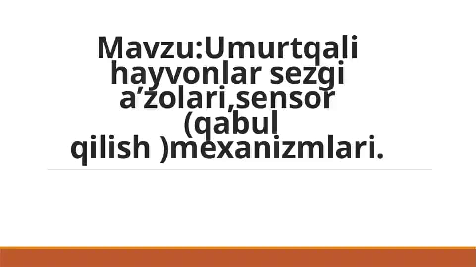 Baliqlarning Sezgi organlari