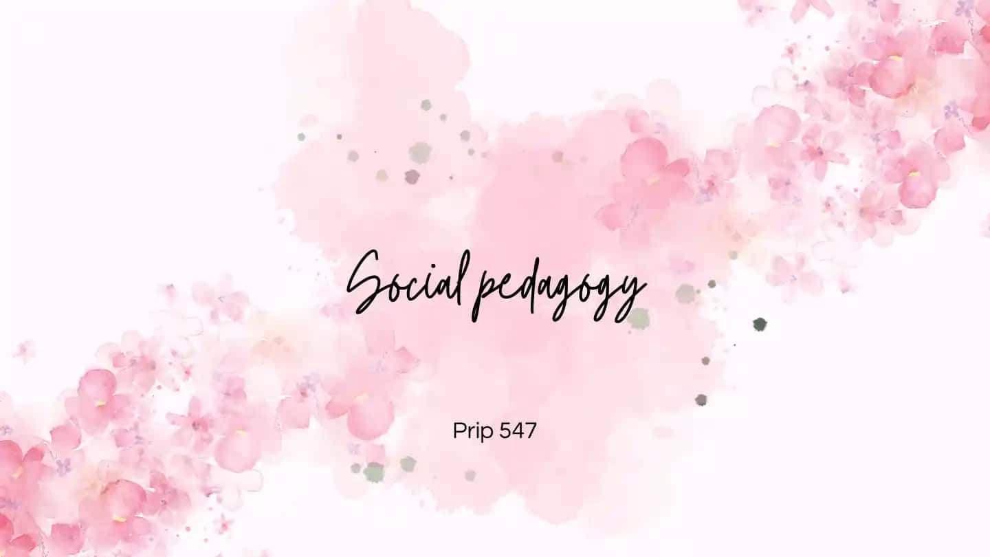 Social pedagogy