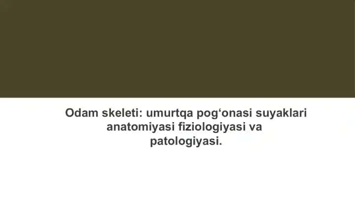 Umurtqa pog‘onasi suyaklari anatomiyasi fiziologiyasi va patologiyasi