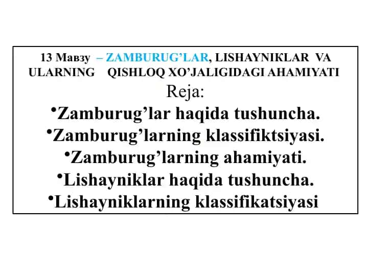 Zamburug’lar, Lishayniklar