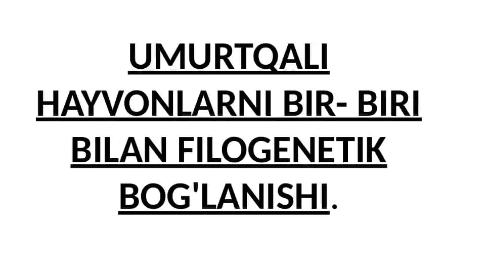 Umurtqali hayvonlarni bir-biri bilan filogenetik bog'lanishi
