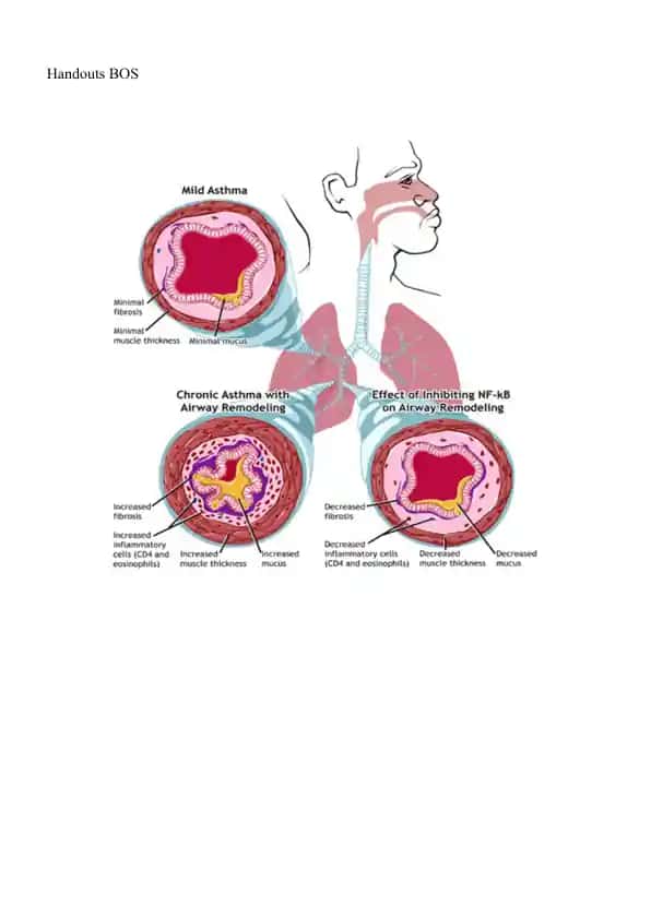 Management and Treatment of Patients with Broncho-Obstructive Syndrome