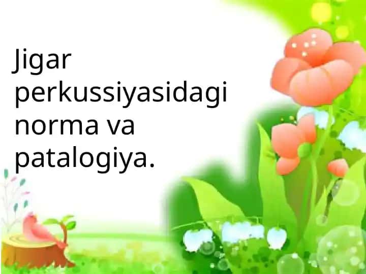 Jigar perkussiyasi