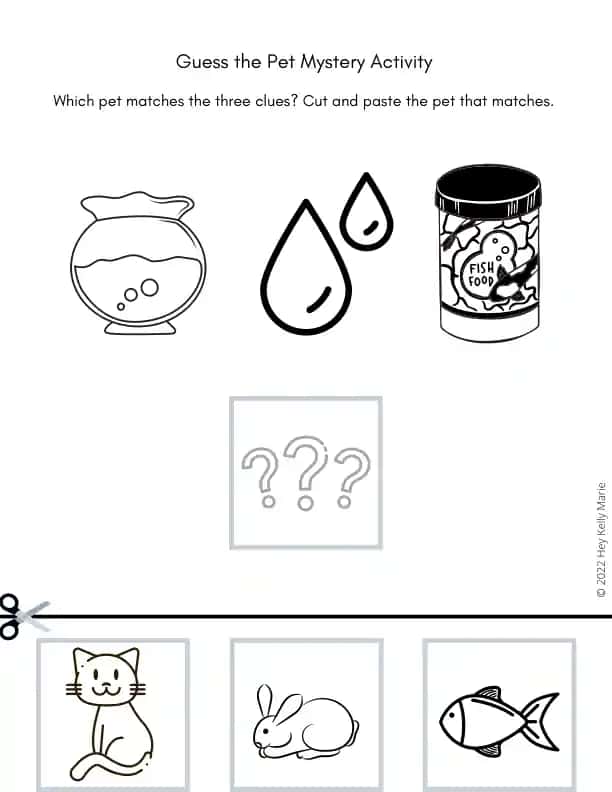 Guess the Pet Mystery Activity