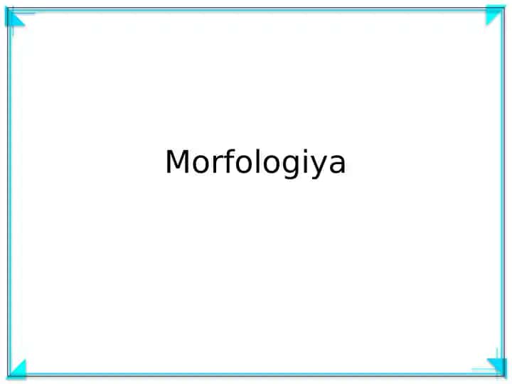 Morfologiya