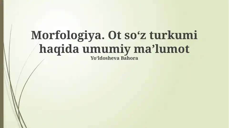 Morfologiya. Ot soʻz turkumi haqida umumiy maʼlumot