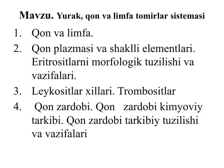 Yurak, Qon va Limfa Tomirlar Sistemasi