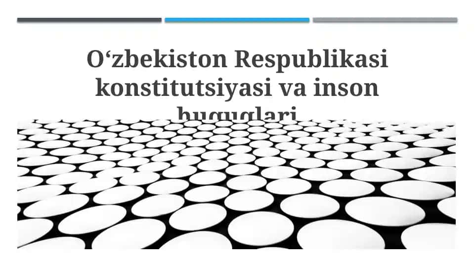 Oʻzbekiston Respublikasi konstitutsiyasi va inson huquqlari