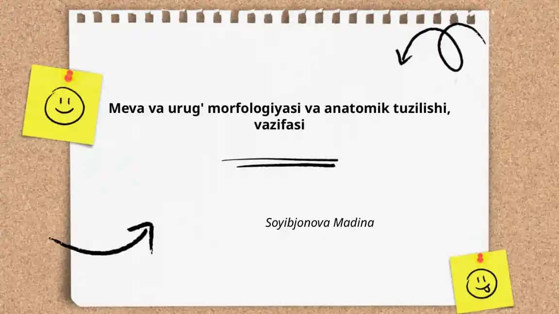 Meva va urug' morfologiyasi va anatomik tuzilishi, vazifasi