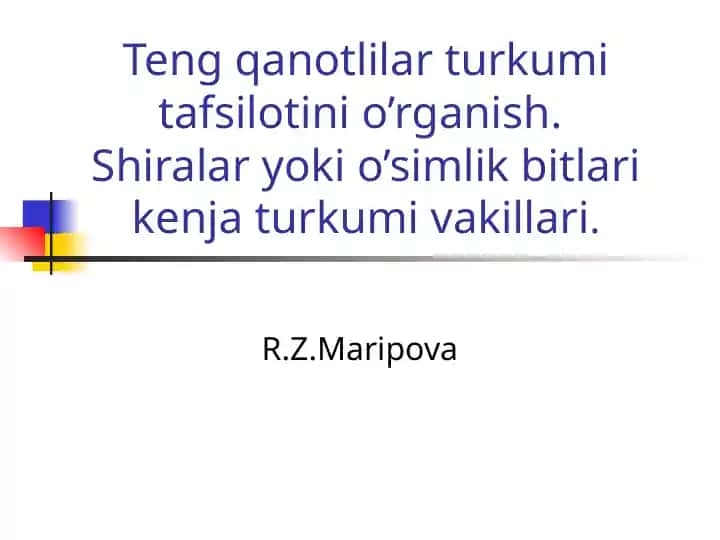 Teng qanotlilar turkumi tafsiloti