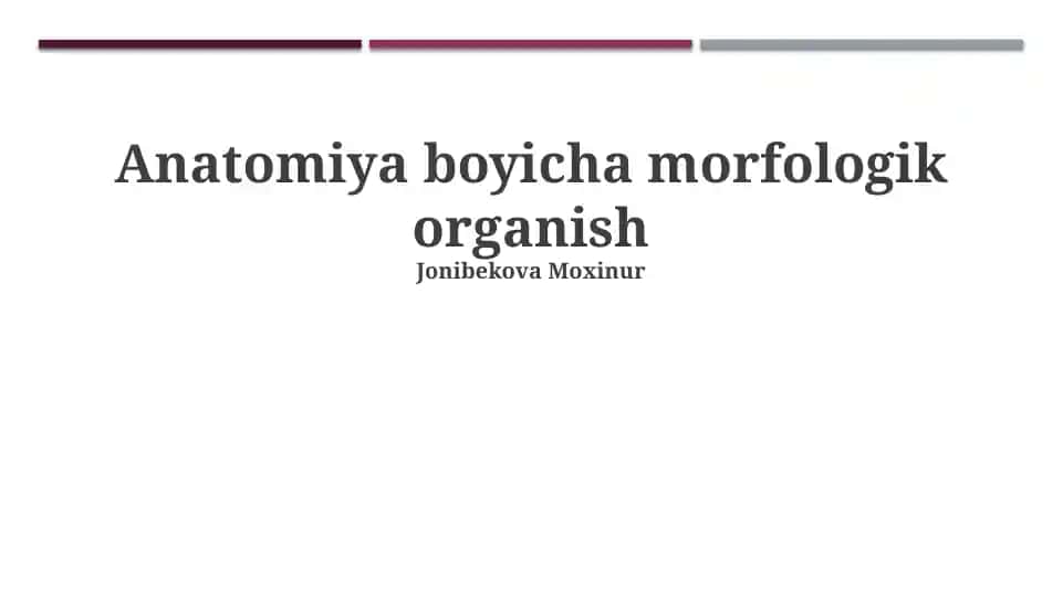 Anatomiya boyicha morfologik organish