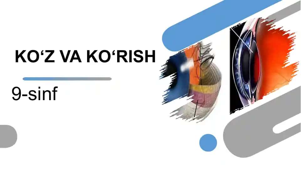 Ko‘z va Ko‘rish