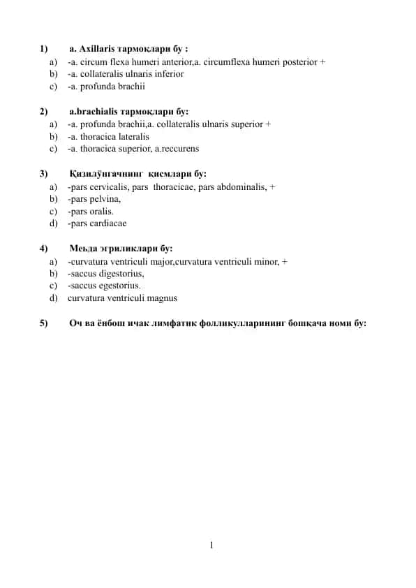 Yandiq tarmoqlarining anatomiyasi