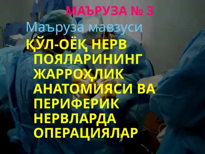 Қўл-оёқларнинг жарроҳлик анатомияси ва периферик нервларда операциялар