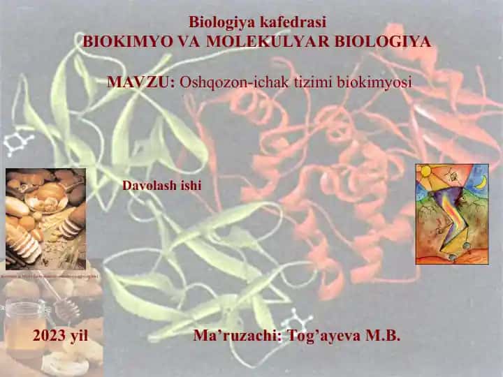 Oshqozon-ichak tizimi biokimyosi