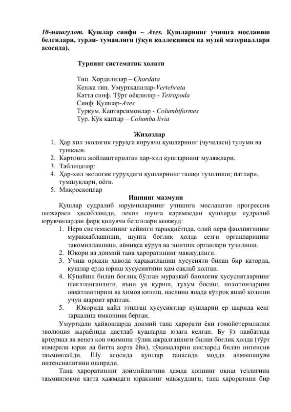 Қушлар синфи – Aves. Aves тарихи ва умумий маълумотлар