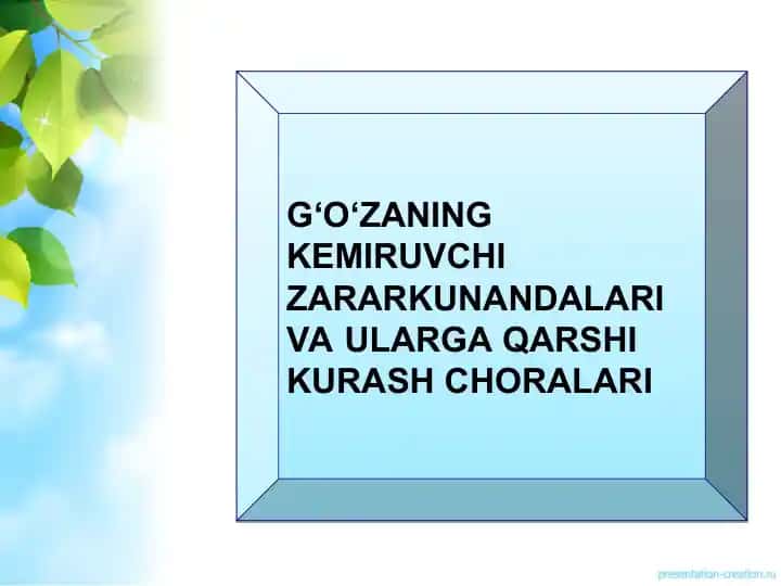 G‘o‘zaning Kemiruvchi Zararkunandalari va Ularga Qarshi Kurash Choralari