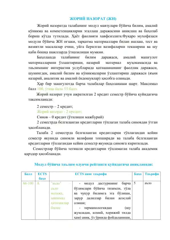 Жорий назорат (ЖН)