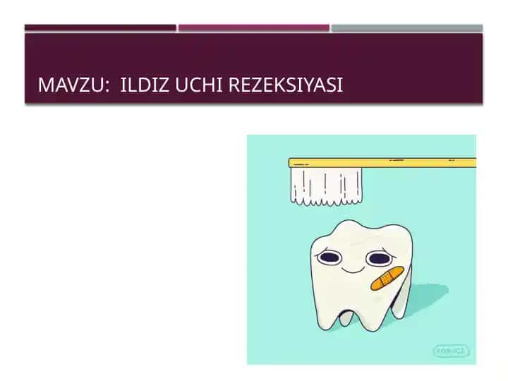 Tish ildizi uchi rezektsiyasi