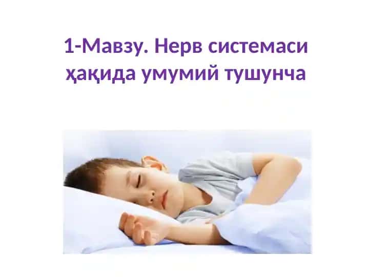 Nerv sistema haqida umumiy tushuncha