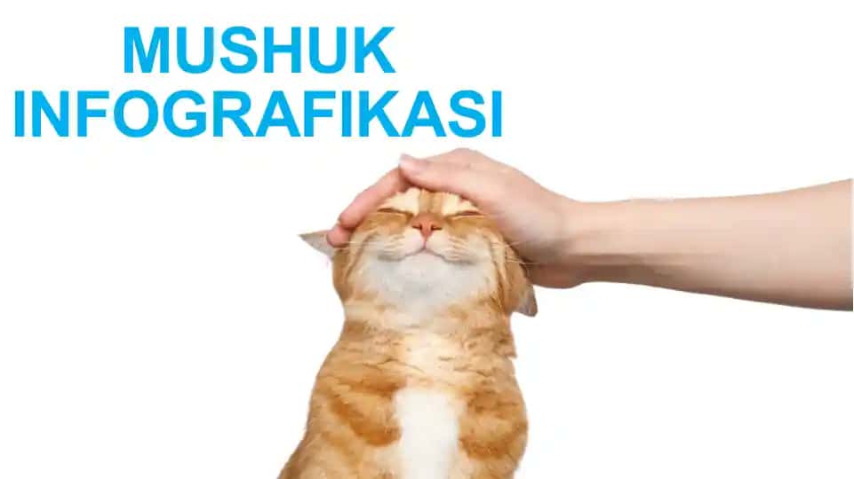 Mushuk Infografikasi