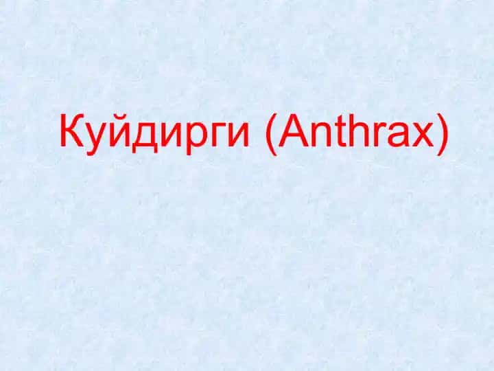 Kuydirgi