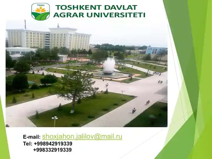 Ommaviy tadbirlar va ularning tashkil etish