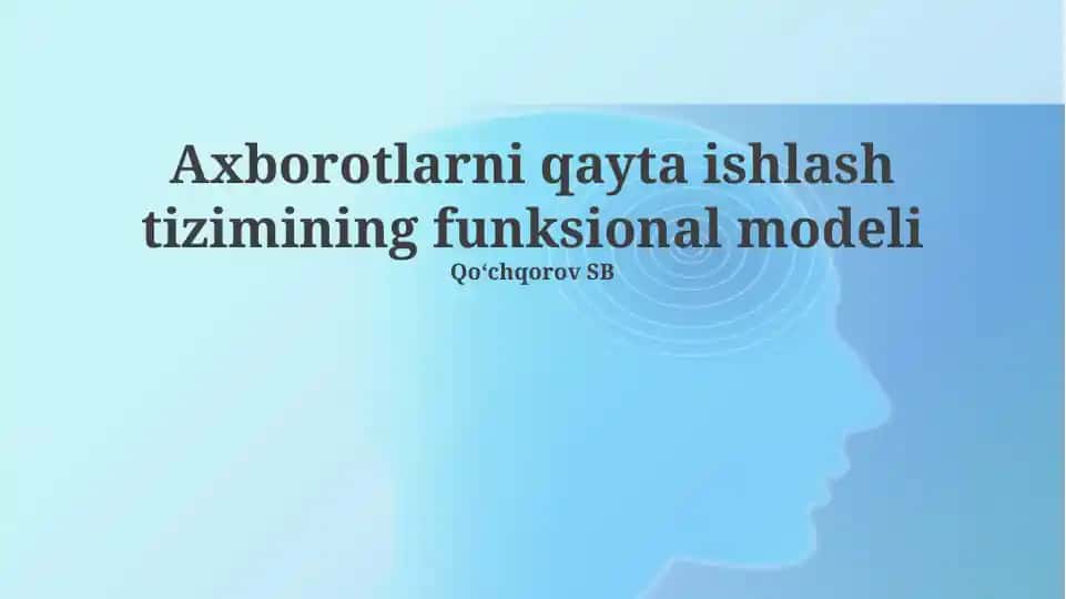 Axborotni qayta ishlash tizimining funktsional modeli