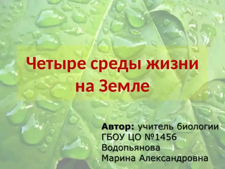 Четыре среды жизни на Земле