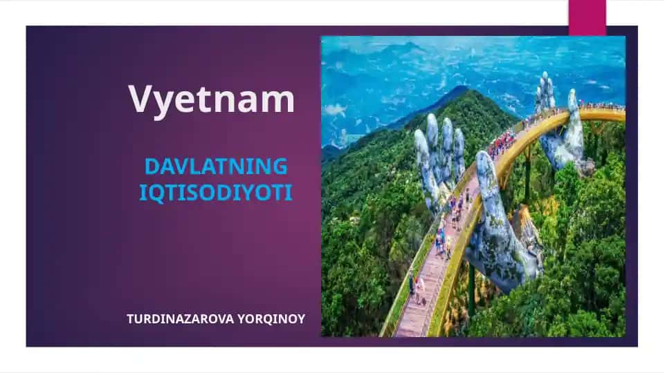 Vyetnam iqtisodiyoti