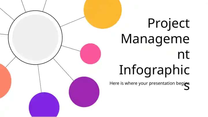 Project Management Infographics