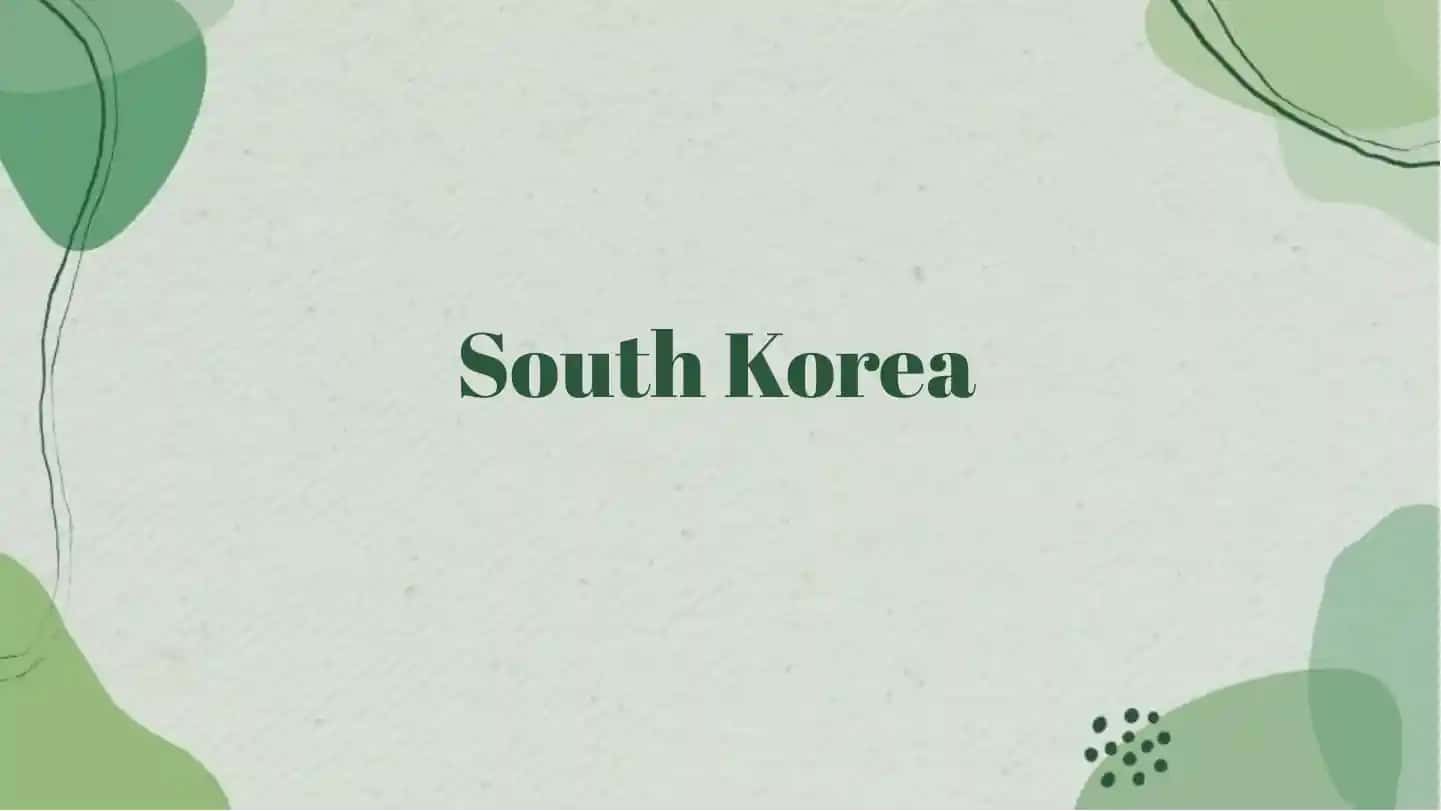 South Korea Economic Renaissance