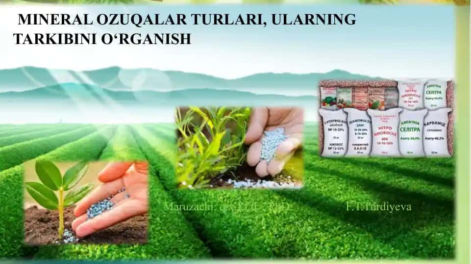 MINERAL OZUQALAR TURLARI