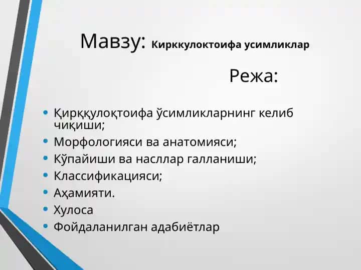 Қирққулоқтоифа усимликлар
