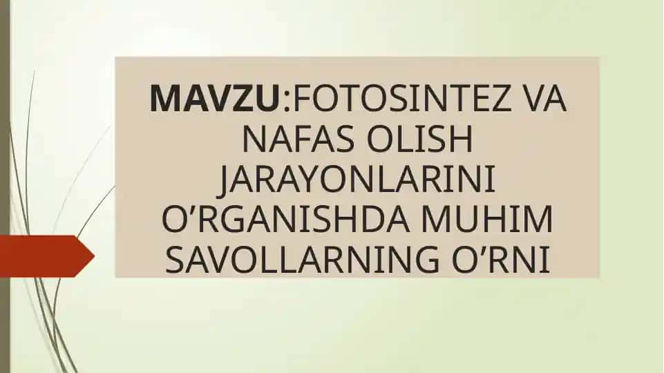 Fotosintez va Nafas Olish Jarayonlari
