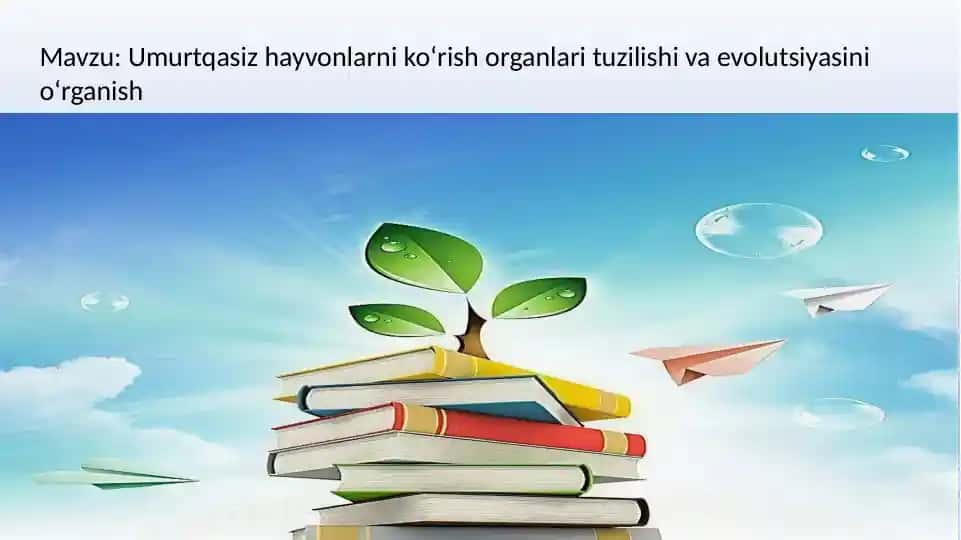 Umurtqasiz hayvonlarni koʻrish organlari tuzilishi va evolutsiyasi