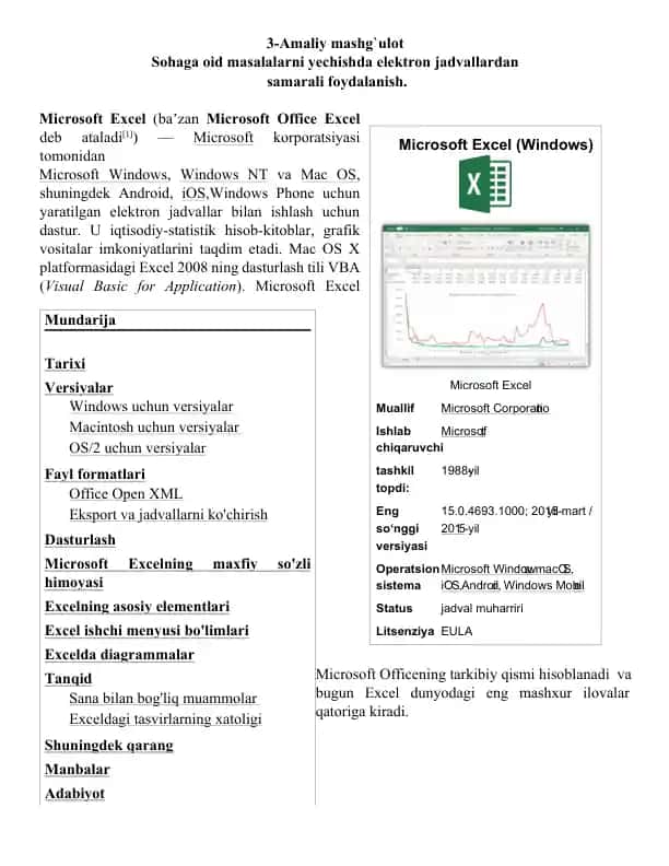 Microsoft Excel