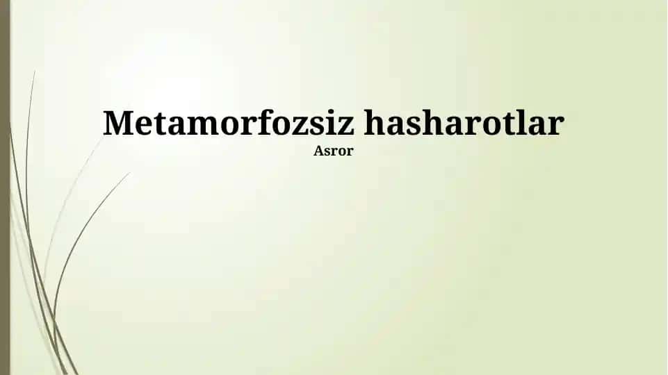Metamorfozsiz hasharotlar