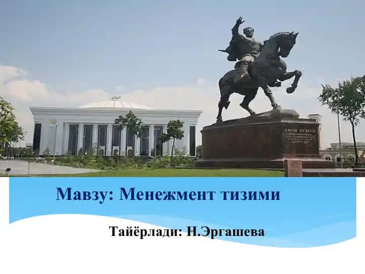 Menijment tizimi