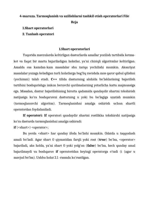 Tarmoqlanish va shart operatorlari bo‘yicha ma’ruza