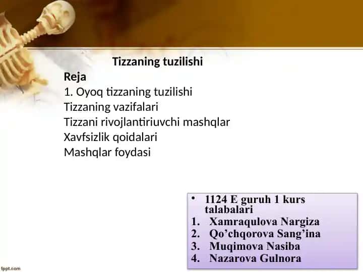 Tizza bo'g'imi anatomiyasi