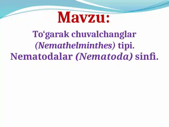 To'garak chuvalchanglar (Nematoda)