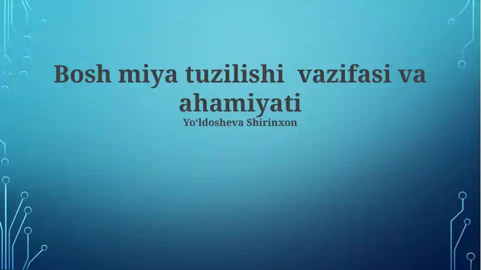 Miyacha vazifalari va ahamiyati