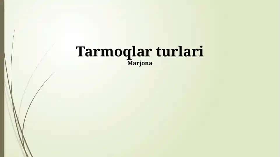 Tarmoqlar turlari