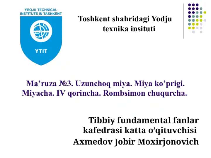 Uzunchoq miyaning tuzilishi