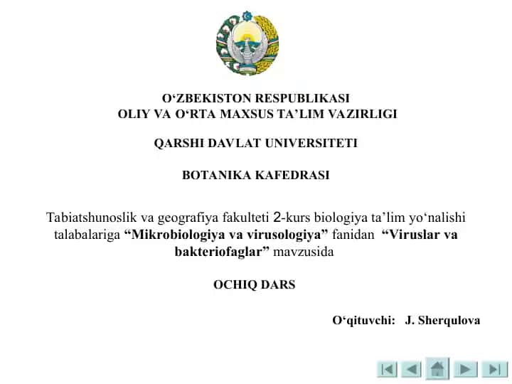 Viruslar va Bakteriofaglar
