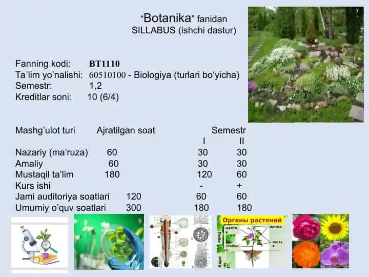 Botanika