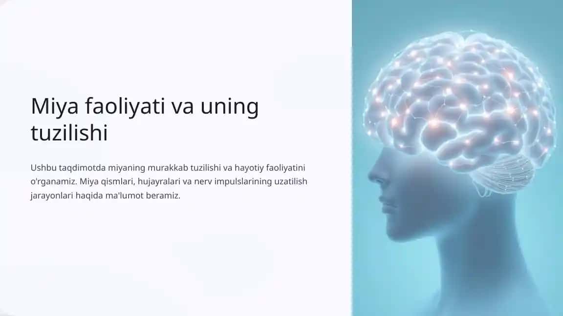 Miya faoliyati va uning tuzilishi